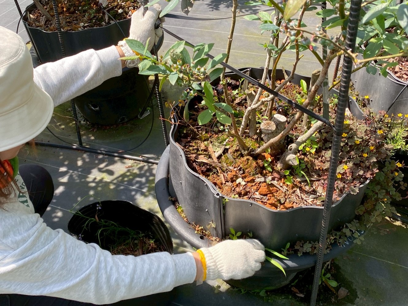 施設外就労画像