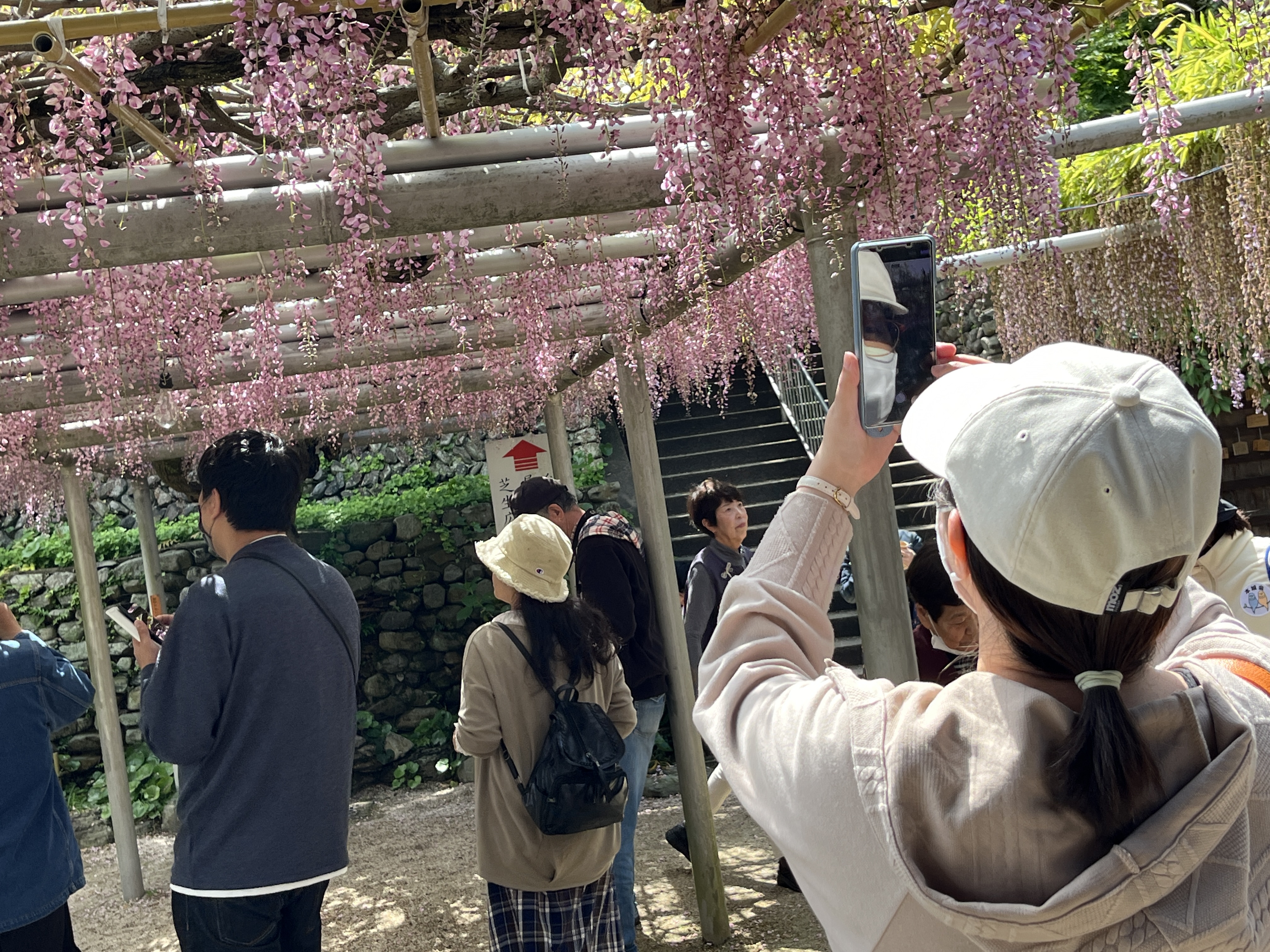 レクリエーション画像